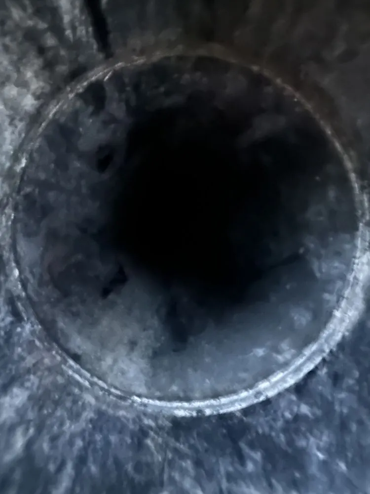 Slide of Kirkland Rooter