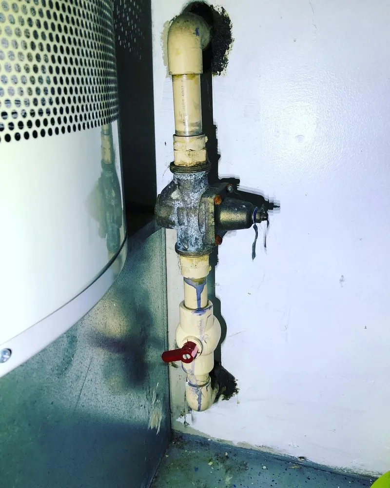 Slide of Kirkland Rooter