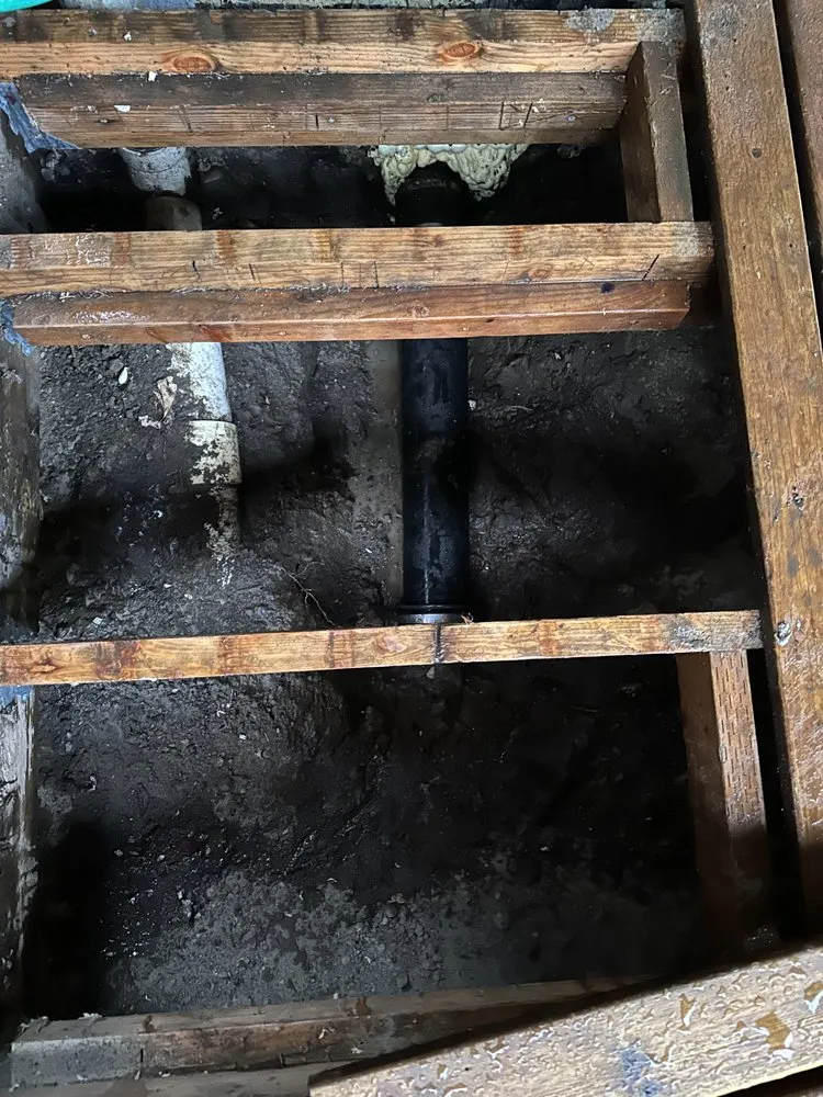 Slide of Kirkland Rooter