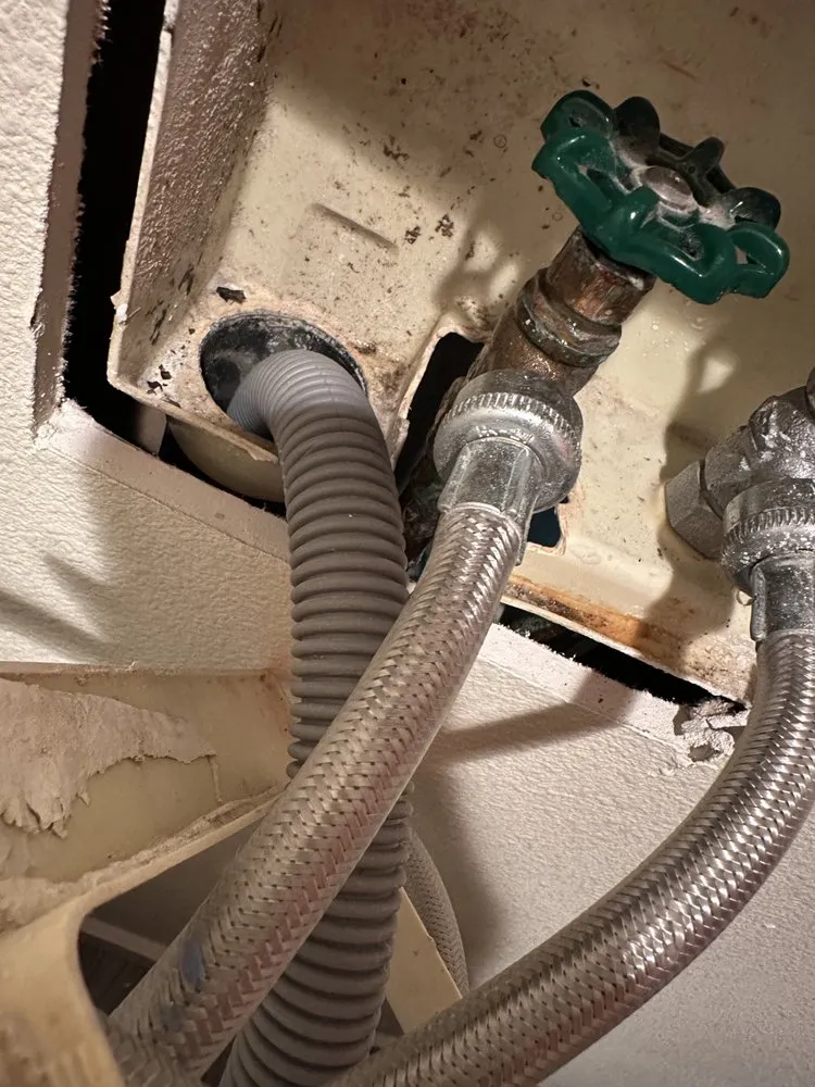 Slide of Kirkland Rooter