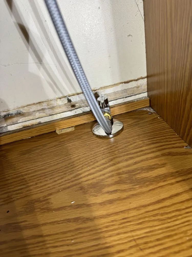 Slide of Kirkland Rooter