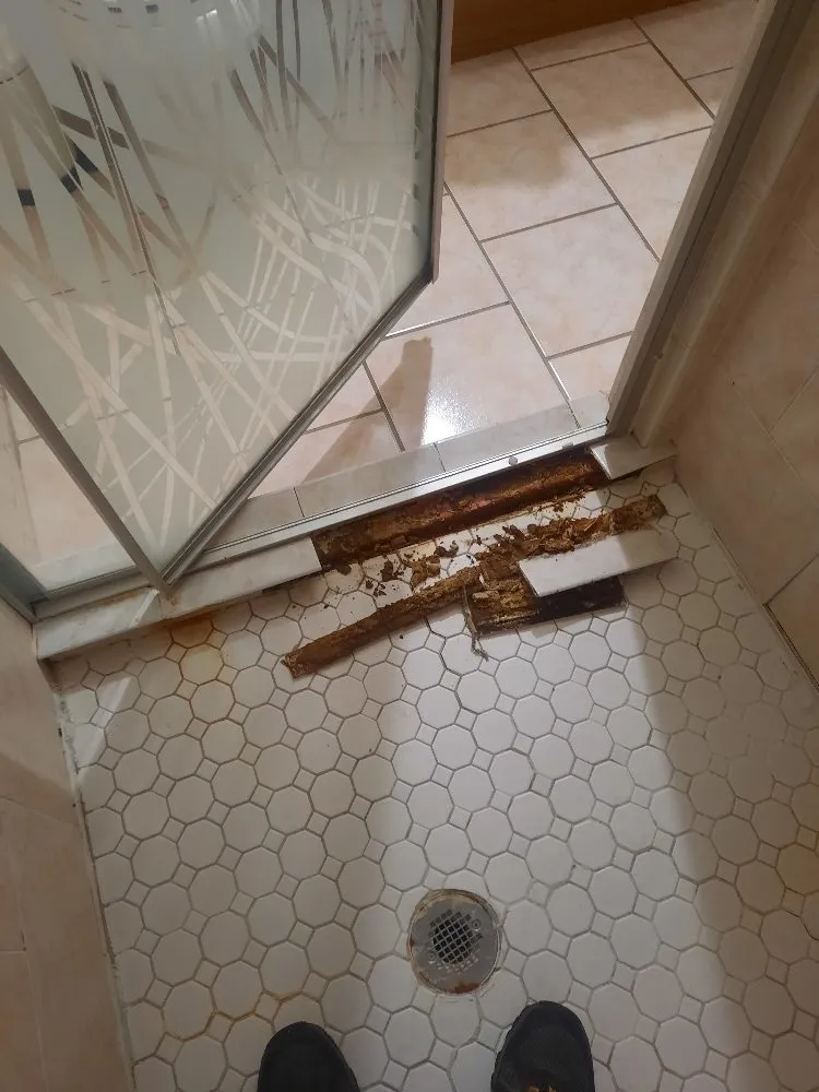 Slide of KJV Business Services