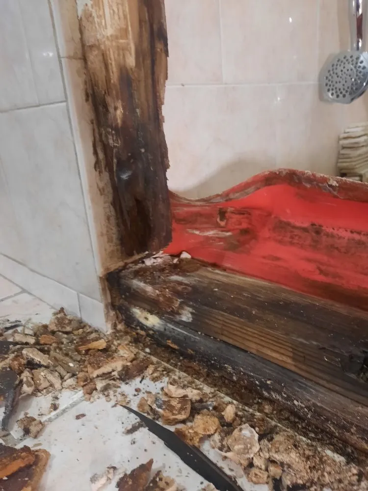 Slide of KJV Business Services