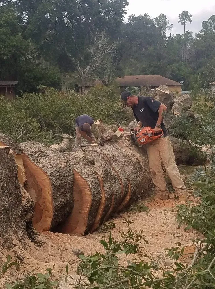 Slide of Klean Kutt Tree Service