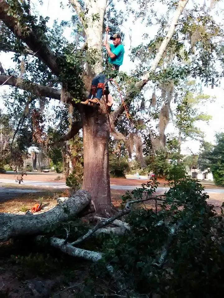 Slide of Klean Kutt Tree Service