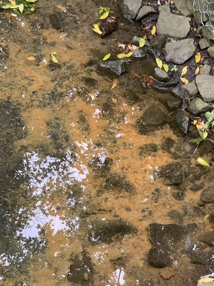 Slide of Klein & Company Plumbing