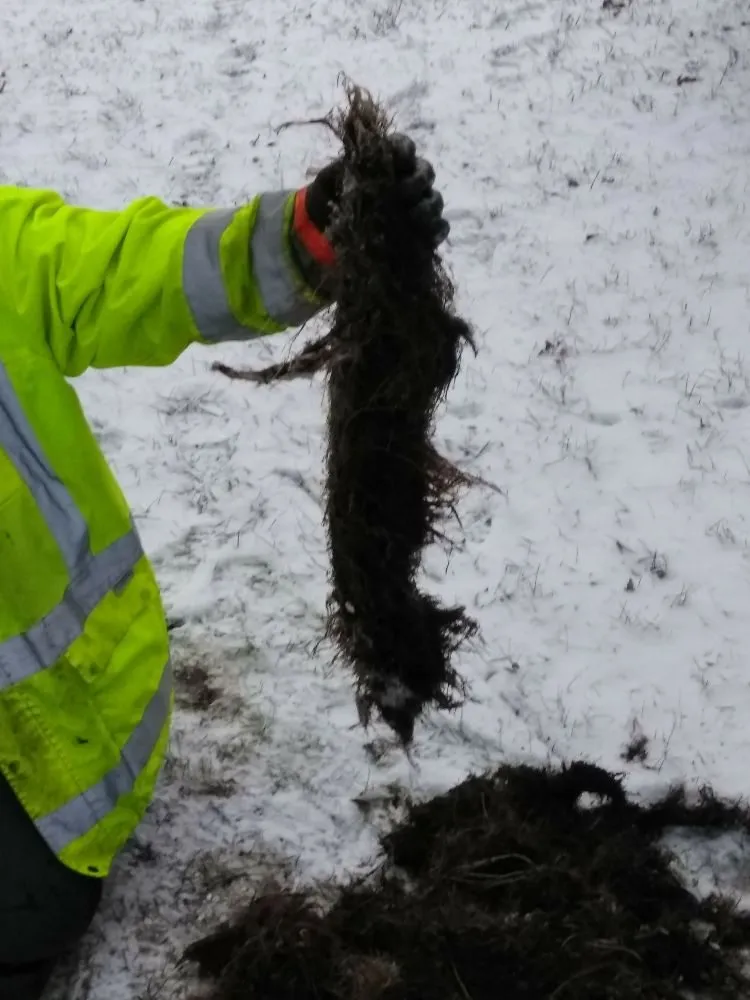 Slide of Kline's Ready Rooter