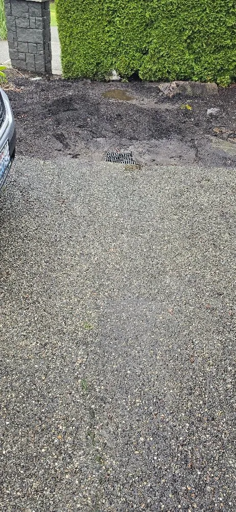 Slide of Knight Rooter