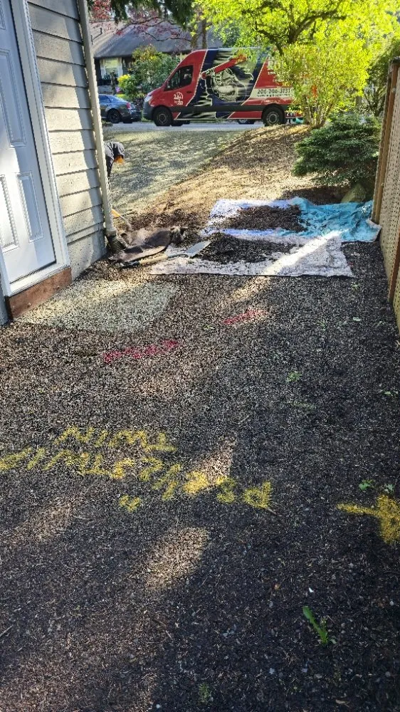 Slide of Knight Rooter