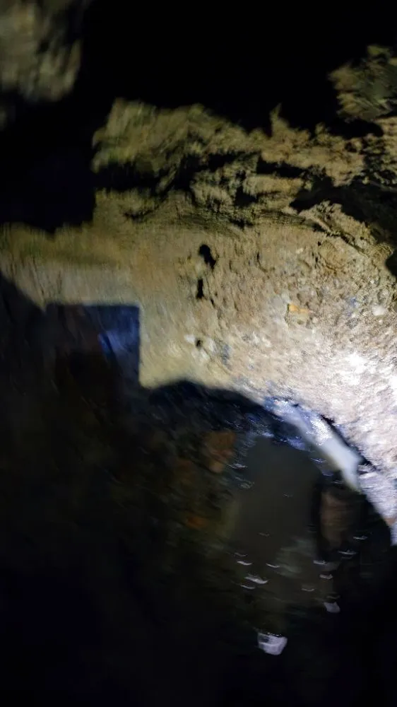 Slide of Knight Rooter