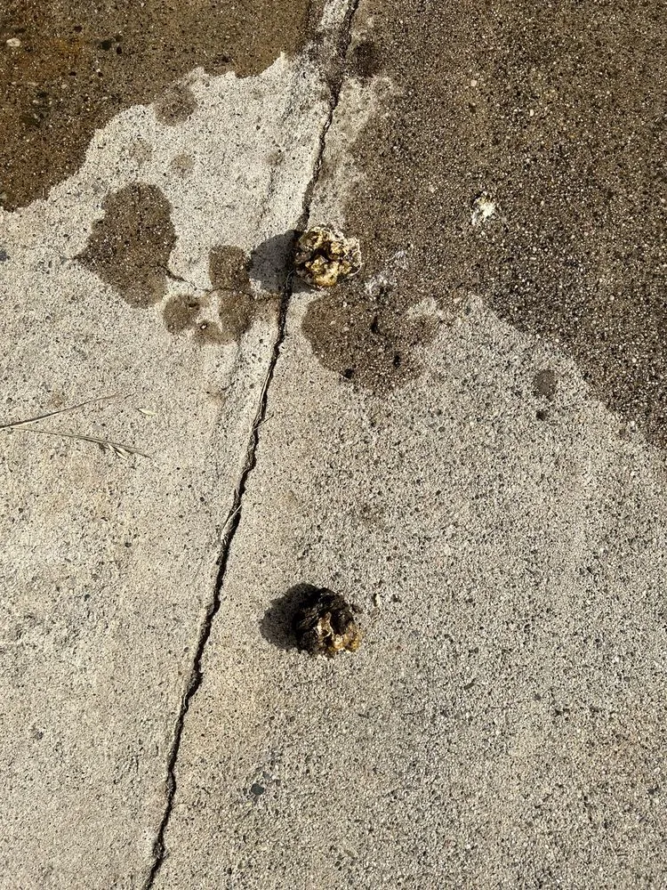 Slide of Knights Plumbing and Drain