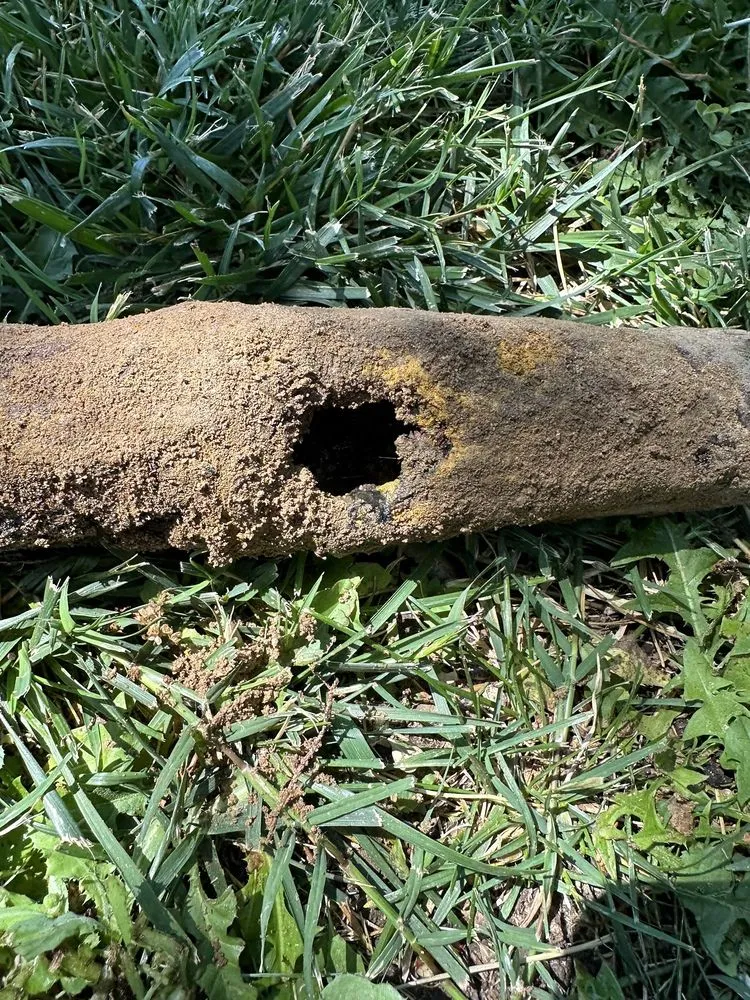 Quality drain cleaning in Modesto, CA by Knights Plumbing and Drain