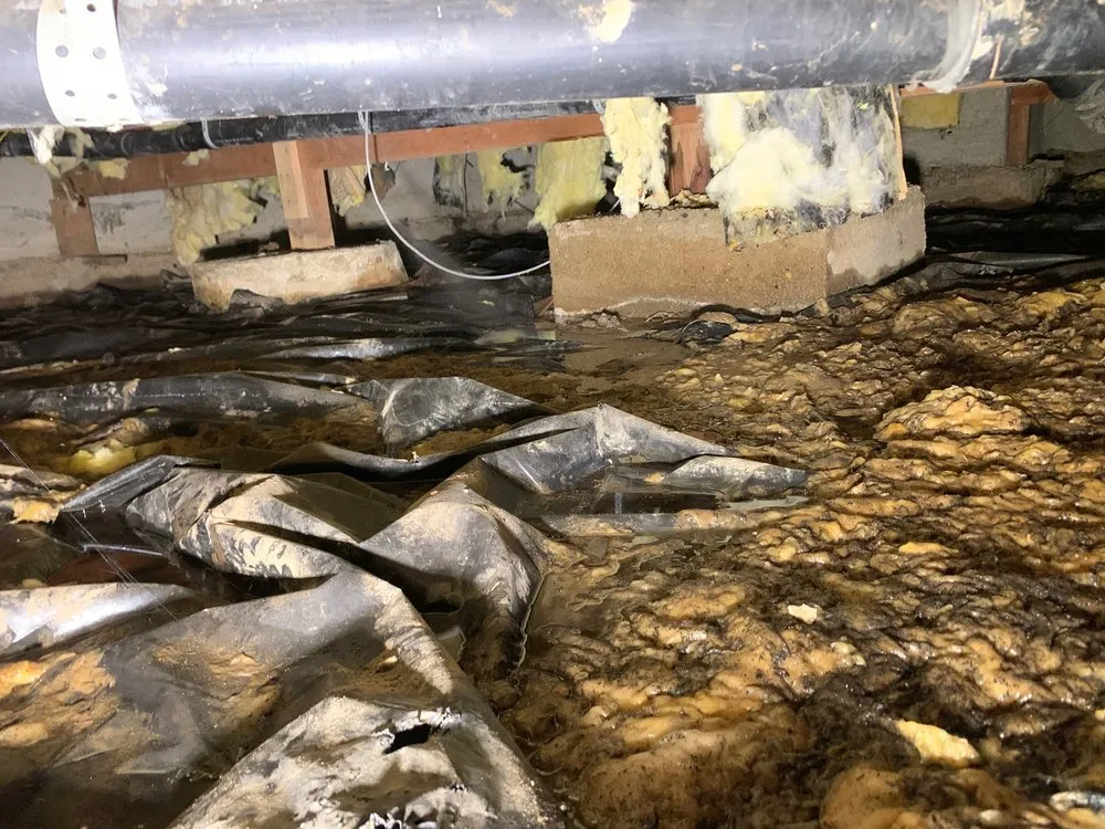 Top-rated pipe repair in Seattle, WA by Knockout Plumbing & Mechanical