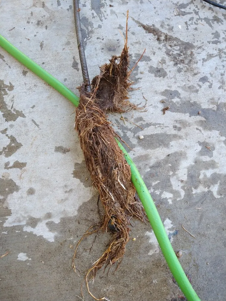 Slide of Know It All Rooter And Repair