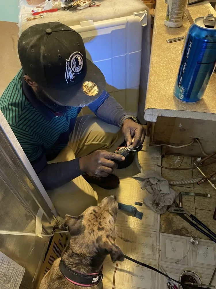 Slide of Kobe Allstar Plumbing