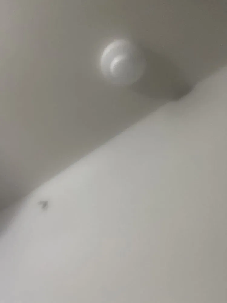 Slide of Kodiak Fire Protection