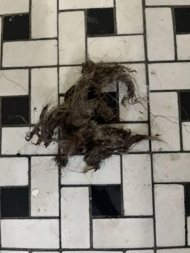 Slide of Kofa Plumber