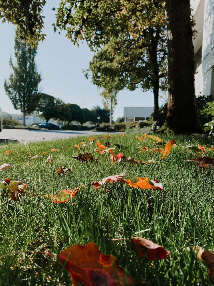 Slide of Kohl's Automatic Sprinklers