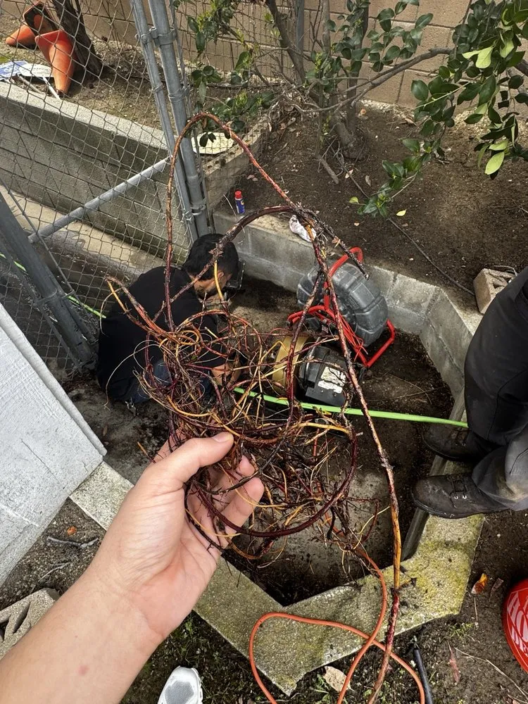 Slide of Koko Drains