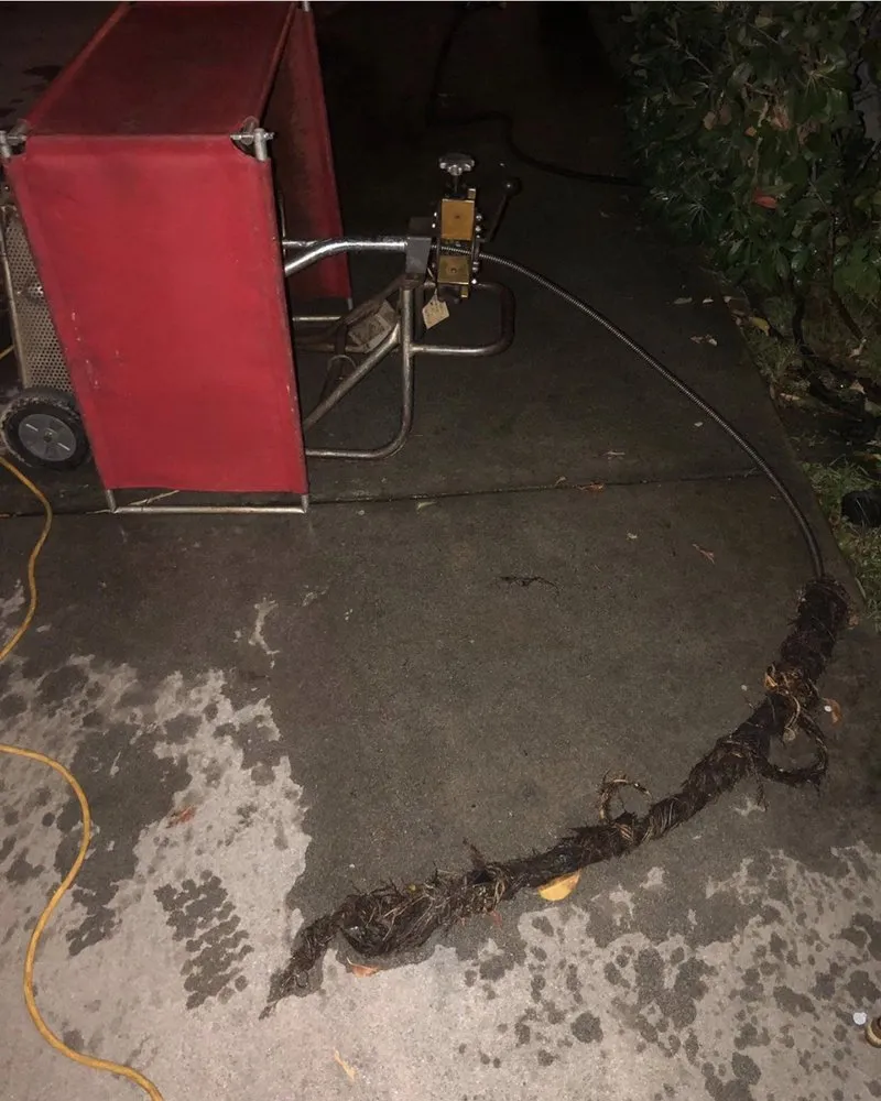 Slide of Koko Drains