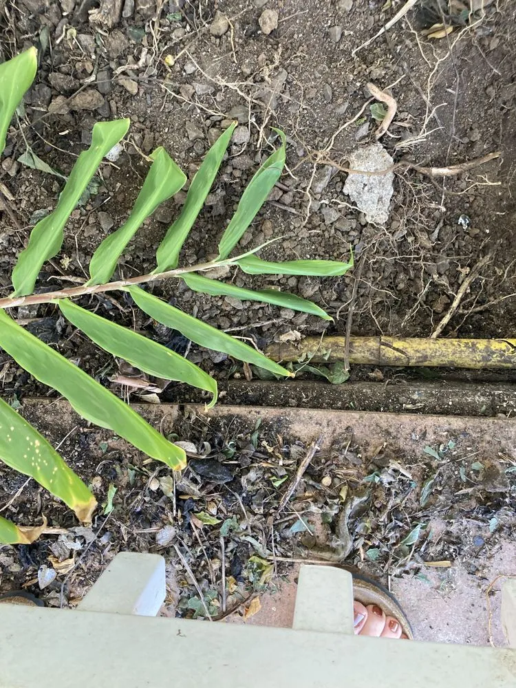 Slide of Kona Pipeline Plumbing