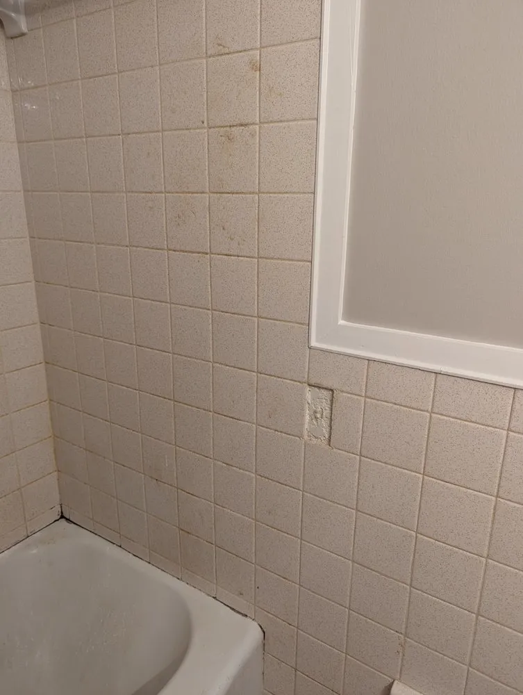 Reliable drain cleaning in Harrison, GA by Kornn Construction Services