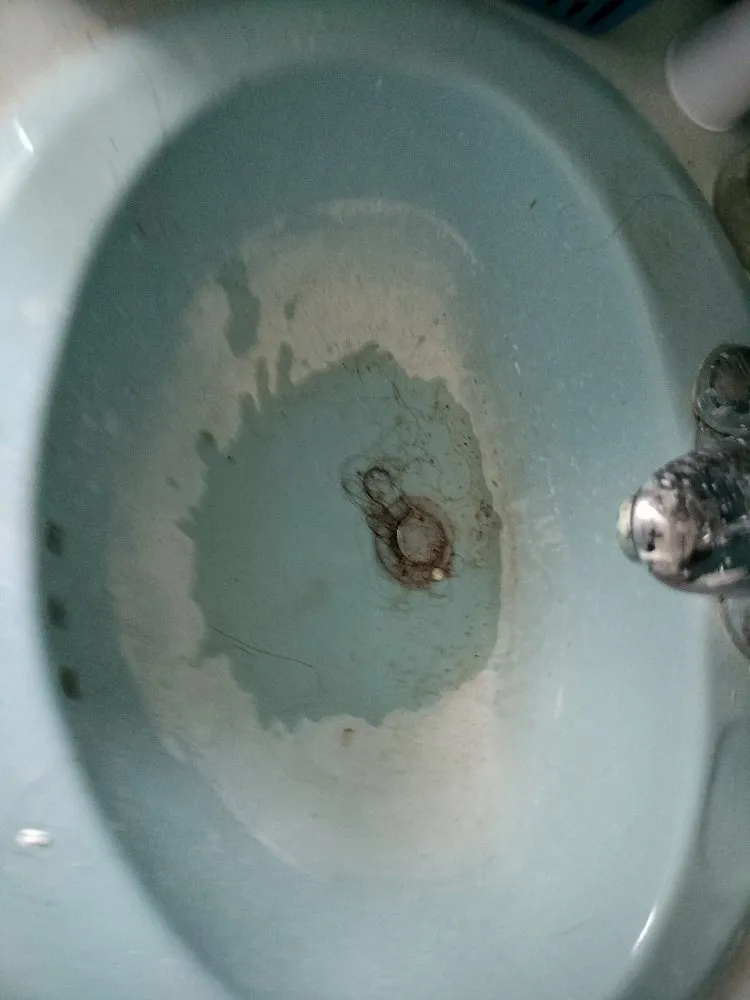 Slide of Kousin's Plumbing and Drain Cleaning