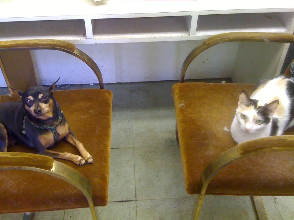 Slide of Koyote Kodys Home N Auto Repair