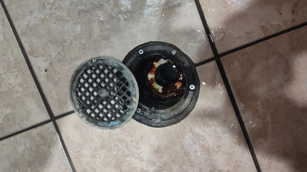 Slide of Krazy Plumbing