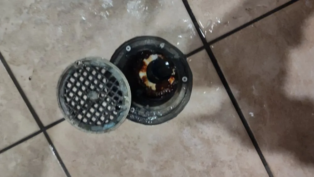 Slide of Krazy Plumbing