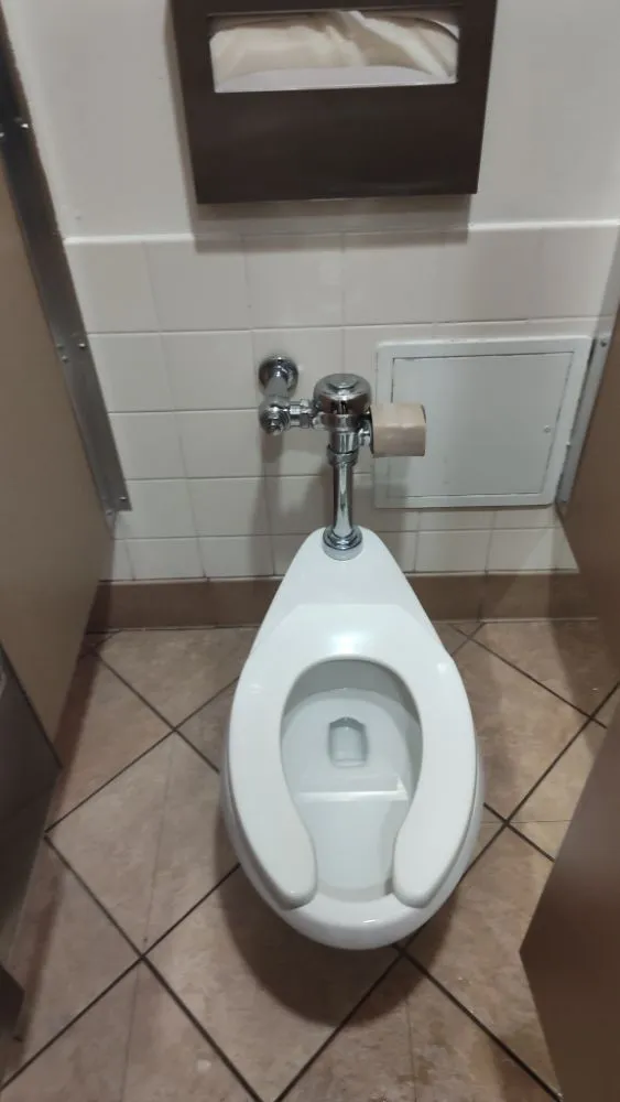 Slide of Krazy Plumbing