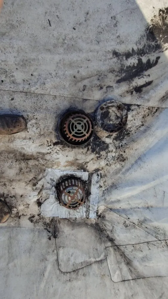 Slide of Krazy Plumbing