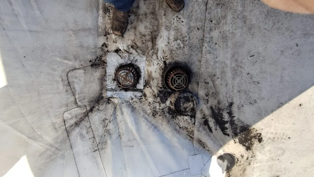 Slide of Krazy Plumbing