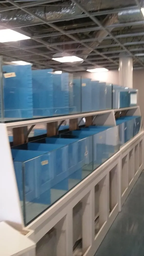 Slide of Kudzu Plumbing