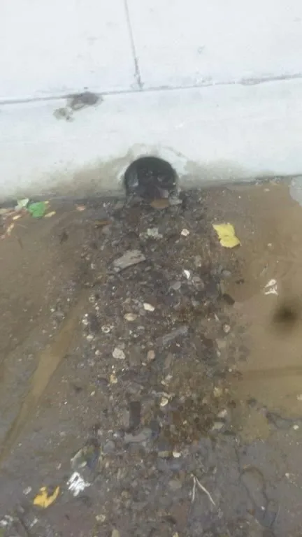 Slide of Kurt Bohmer's Plumbing & Drain Service