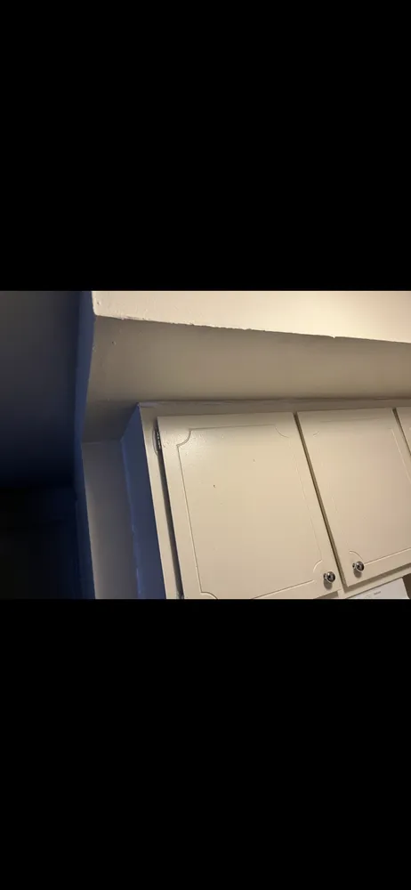 Professional water heater service service in Levittown, PA - Kyle's Handyman Services