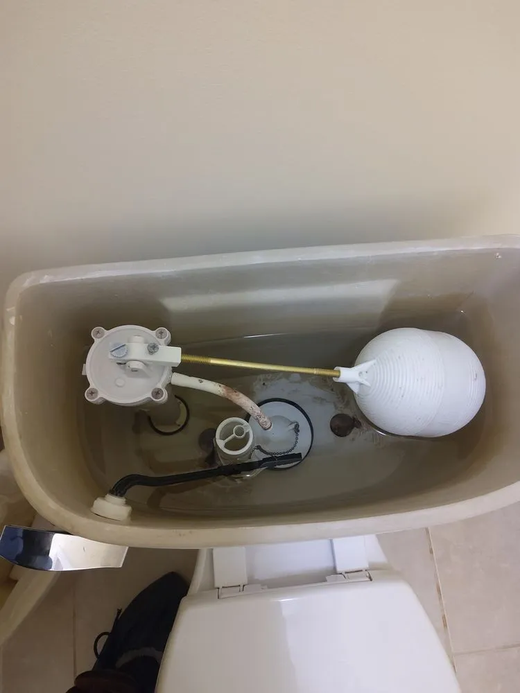 Professional drain cleaning in Catonsville, MD by L & D Plumbing and Drain