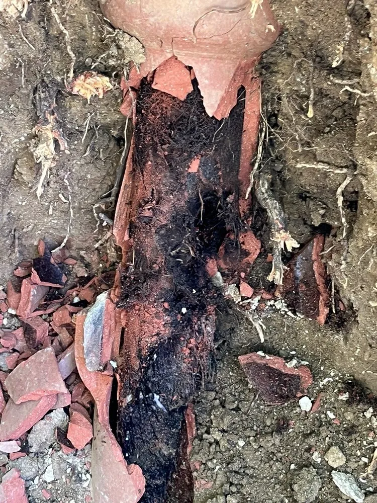 Slide of L A Plumbing Pros