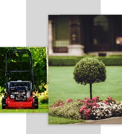 Slide of L A Rentals