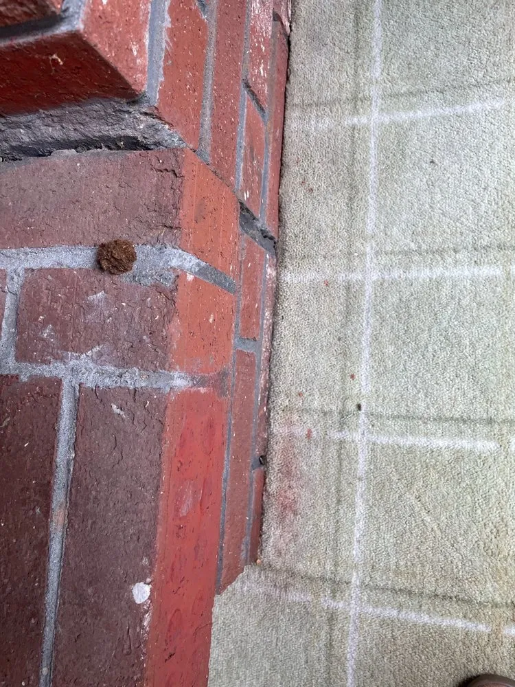 Slide of LA Cleaning & Restoration Services