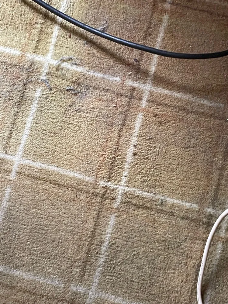 Slide of LA Cleaning & Restoration Services