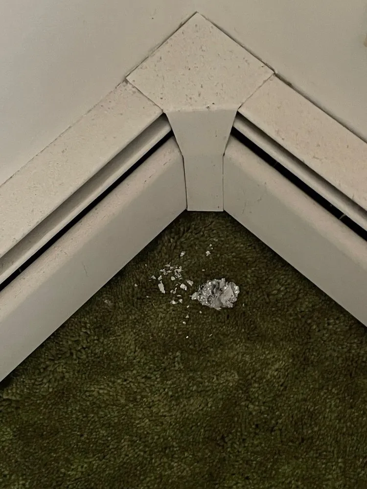 Slide of LA Cleaning & Restoration Services