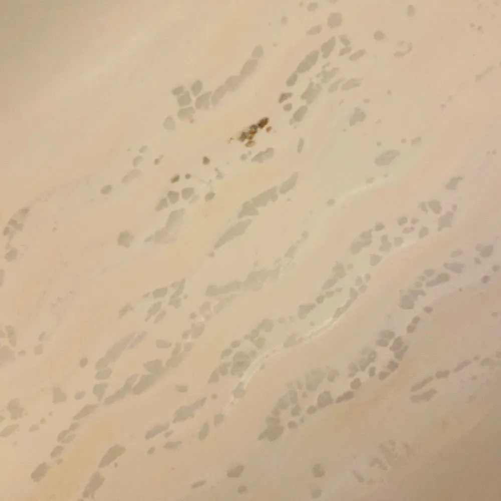 Professional water heater service service in River Edge, NJ - L&A Painting and Home Improvement