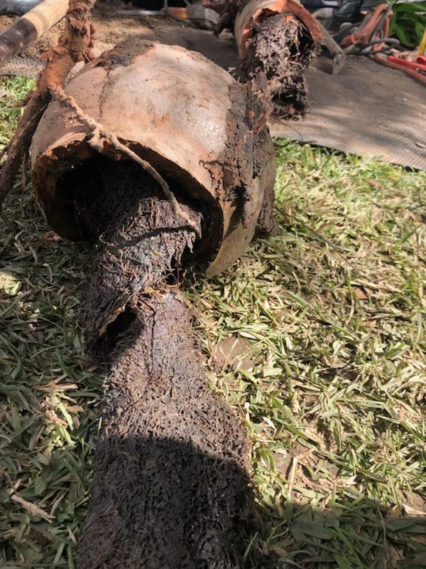 Slide of LA Plumbing - Drain & Sewer