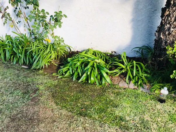 Slide of LA Plumbing - Drain & Sewer