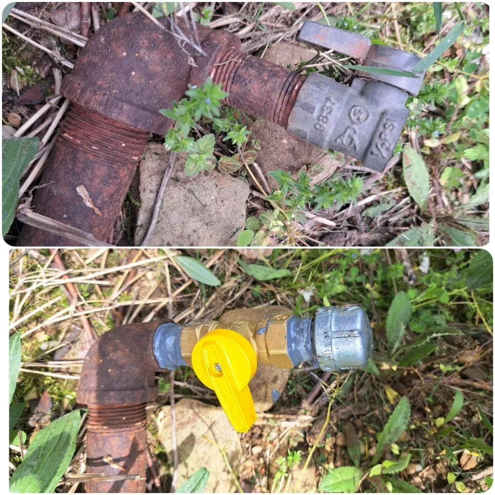 Slide of Lac Painting And More