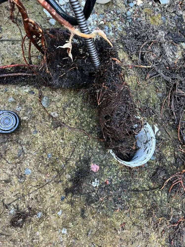 Slide of Lake Hills Rooter