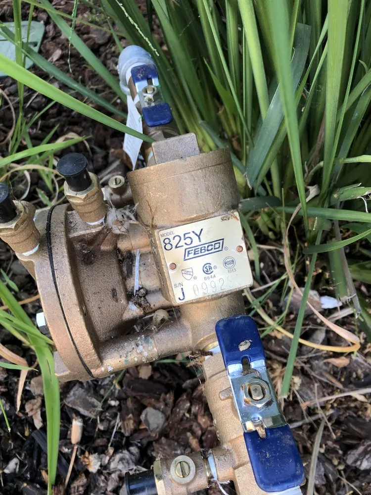 Slide of Lalo's Sewer and Drain