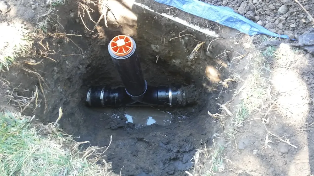 Slide of Lalo's Sewer and Drain