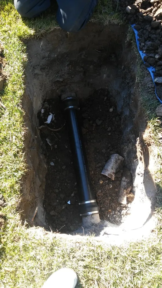 Slide of Lalo's Sewer and Drain